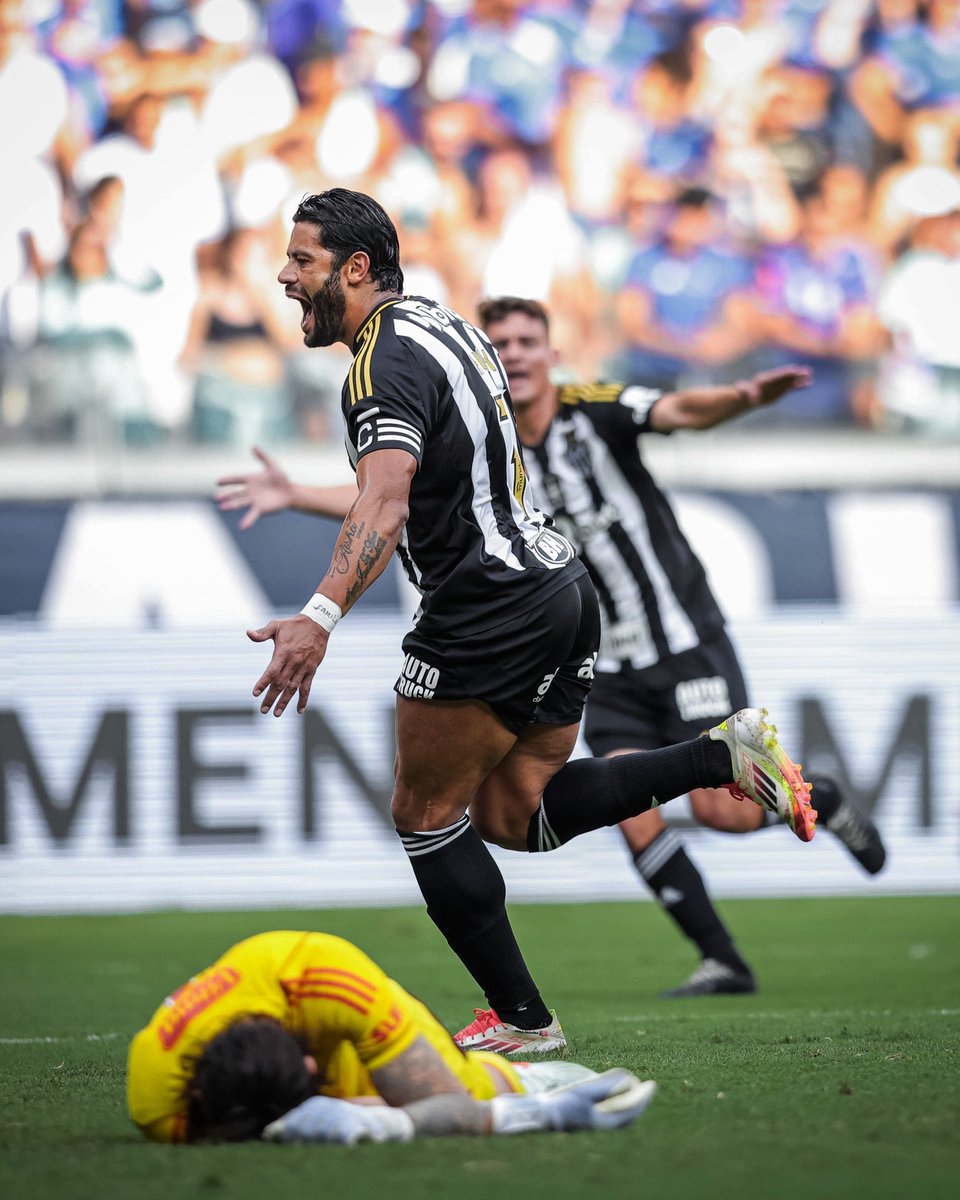 cavalinhogalo's tweet photo. O pai do cruzeiro. 🐓 https://t.co/wmDloQeXyw