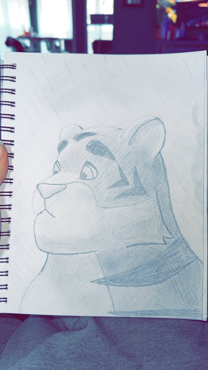 ArcturusViotto (Arc) tweet media