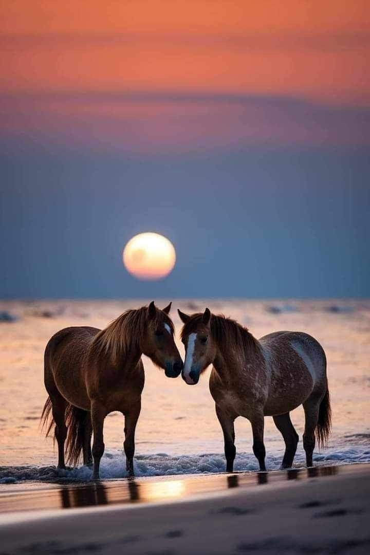naturebeautyh's tweet photo. https://t.co/LqM38qFyaP
