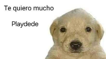 <a href="/playdedesocial/">Playdede</a>