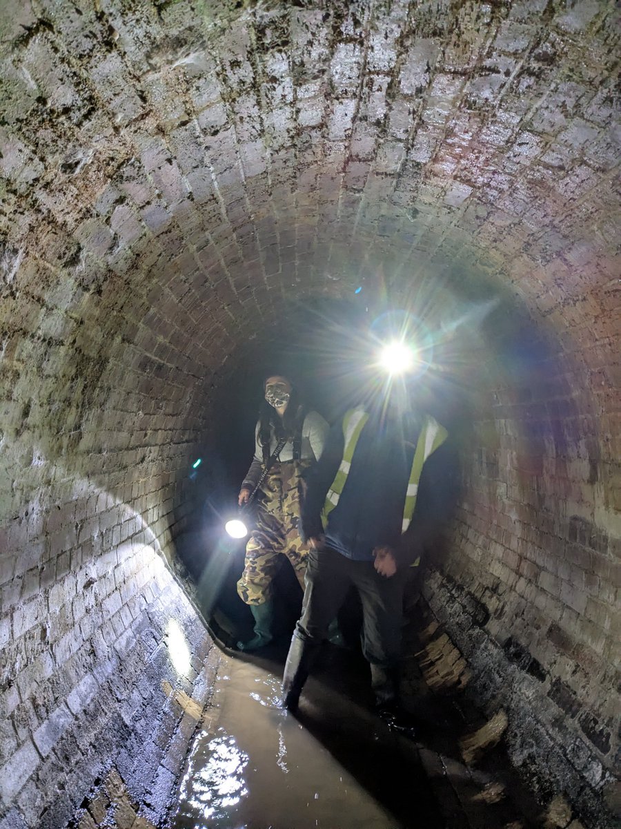 Norfolk & Norwich Bat Group tweet media