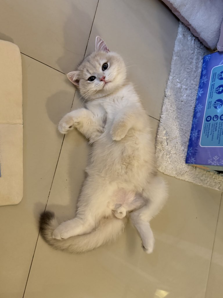 yoojeenoo's tweet photo. ฝากชาตรีไว้ในอ้อมอกอ้อมใจด้วยได้มั้ยต้ะ https://t.co/ou4S6ZbldF