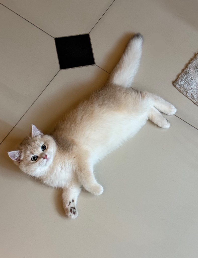 yoojeenoo's tweet photo. ฝากชาตรีไว้ในอ้อมอกอ้อมใจด้วยได้มั้ยต้ะ https://t.co/ou4S6ZbldF