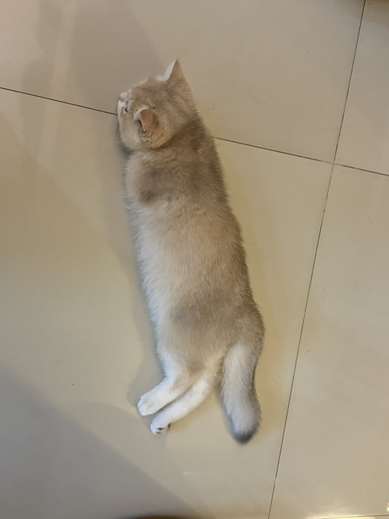 yoojeenoo's tweet photo. ฝากชาตรีไว้ในอ้อมอกอ้อมใจด้วยได้มั้ยต้ะ https://t.co/ou4S6ZbldF