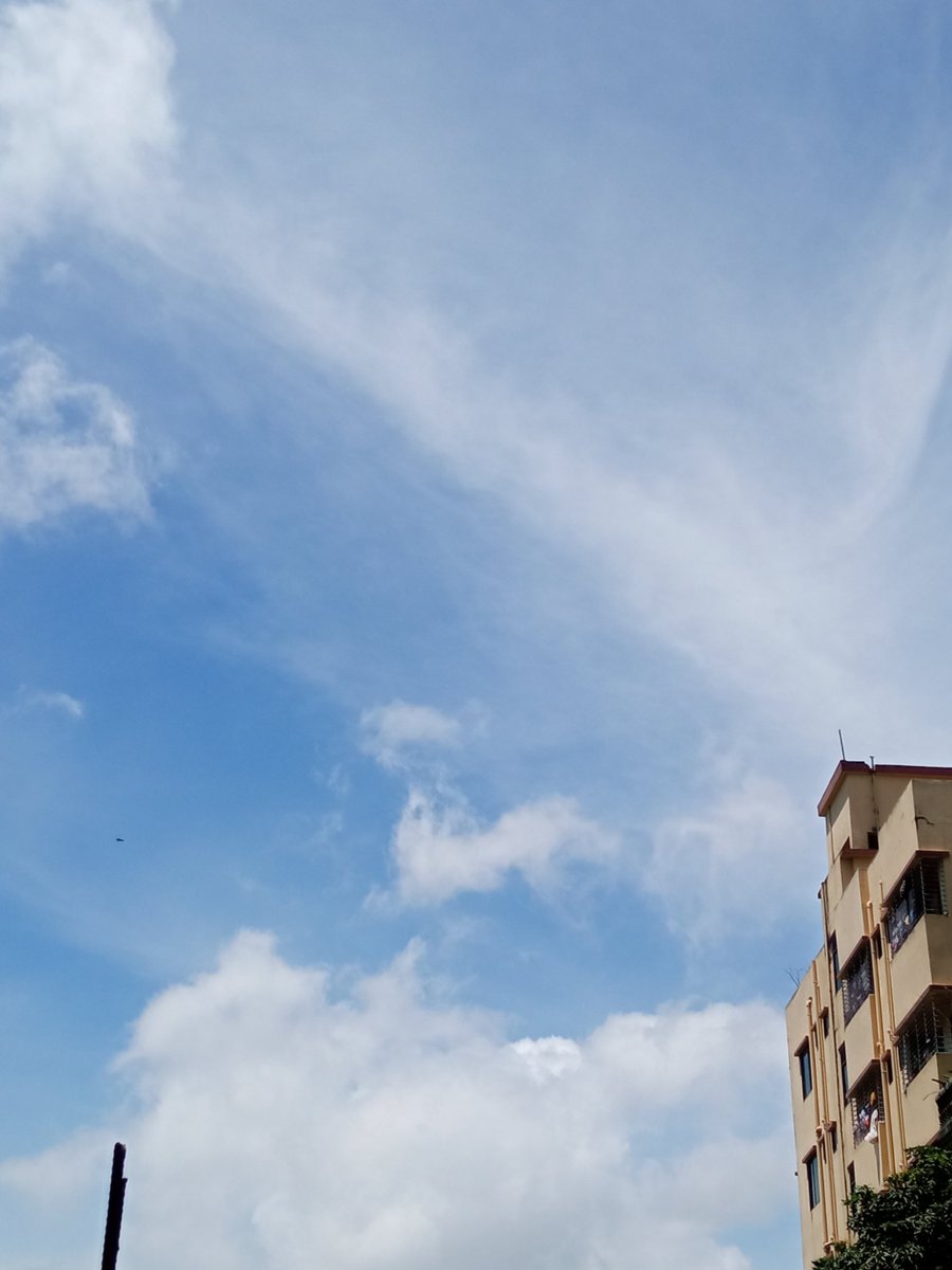 chowdhury_ara's tweet image. আহা!!
সভ্য সমাজের  অ*স*ভ্য কীর্তি। 
জীবন যেখানে যেমন।
মনুষ্যত্ব, বিবেকের বড়ই অভাব।
যেখানে কোন তারুণ্য নেই
নেই কোন  সৌন্দর্য, আছে শুধু প্রতিযোগিতায় টিকে থাকার লড়াই।।
কবে নিতে পারবো বিশুদ্ধ বাতাসের ঘ্রাণ।