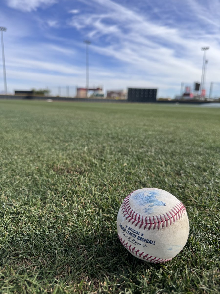 The cubs pitchers and catchers have officially been summoned to Mesa.