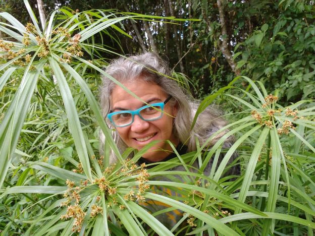 #9Feb 👩‍🔬<a href="/IVIC_oficial/">IVIC</a> 66 años de avances científicos.

Herbario del <a href="/IVIC_oficial/">IVIC</a>: tesoro viviente de la diversidad vegetal

Alberga más de 72.000 especímenes de la flora venezolana.

✍️<a href="/iraniamedina03/">Irania Medina</a>
📸 <a href="/nathan_1969/">Nathan</a> 

📰 lainventadera.com/2024/09/07/her…