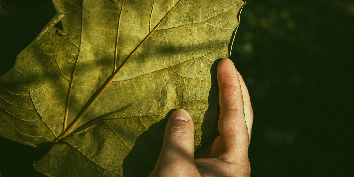 We don’t need to be afraid of the word “mystic.” It simply means one who has moved from mere belief systems about God to actual inner experience. All spiritual traditions at their mature levels agree that such a movement is possible. #DailyMeditations tinyurl.com/4ta7ap35