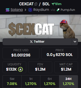 CexCatSOL's tweet photo. Dex is paid

We are sending $CEXCAT to 10M+

LFG https://t.co/fStVGBSx9h