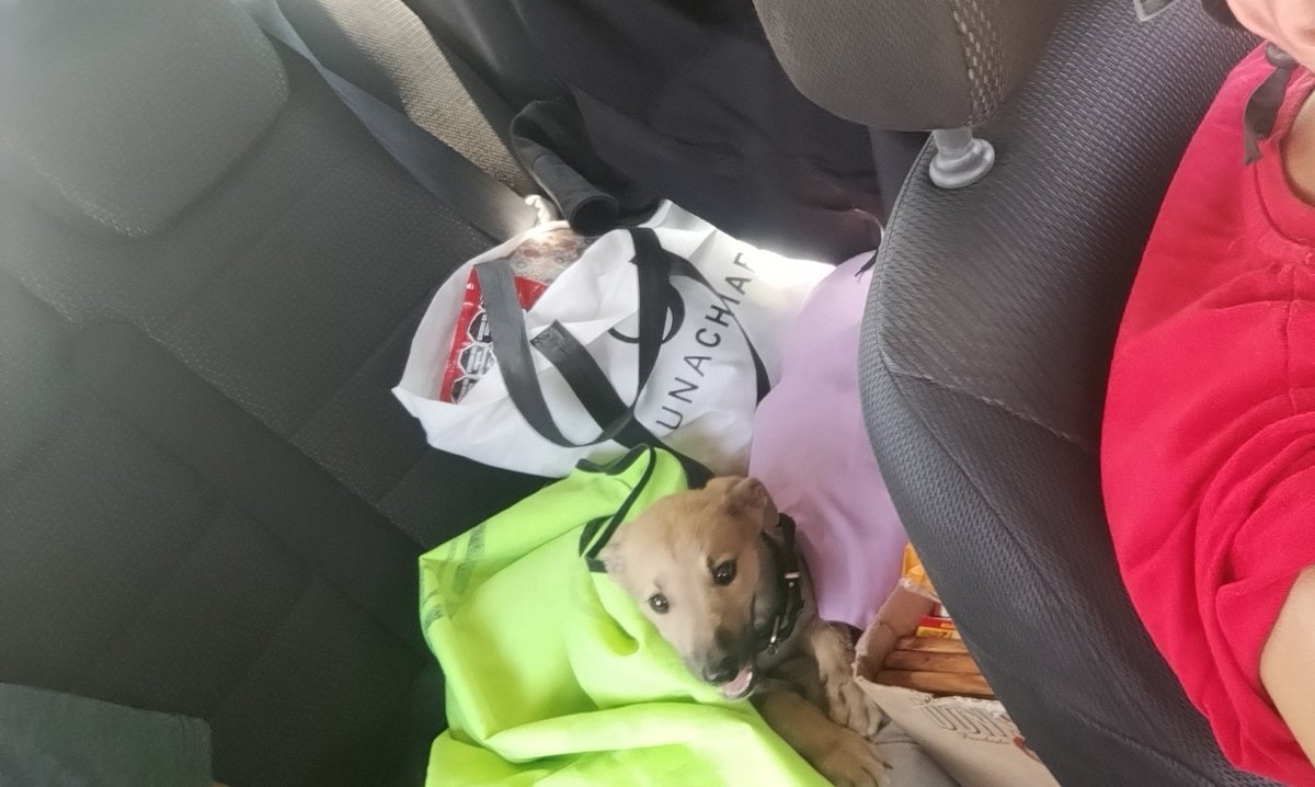 Lo encontré en el Km 556 de la RN 8

Voy a pasar x todas las ciudades intermedias
Alguien puede ayudarlo?
La Carlota 
Arias
Venado Tuerto 

Vamoooos!