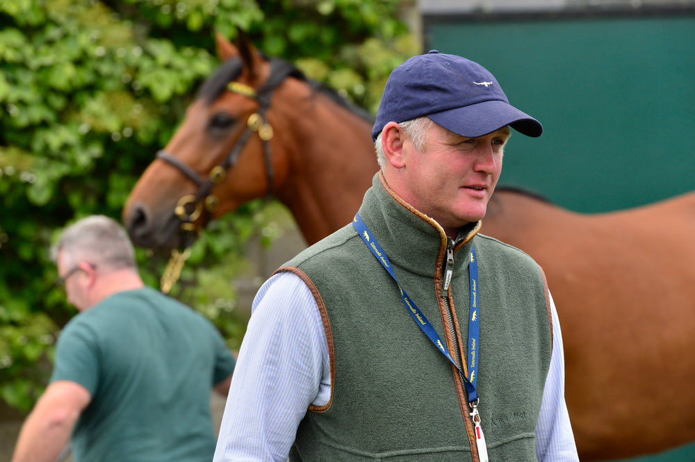 Tattersalls Ireland (@tattersalls_ie) on Twitter photo Derby Sale graduate Kripticjim gets off the mark in style taking the bumper <a href="/ExeterRaces/">Exeter Racecourse</a> for <a href="/TizzardRacing/">Joe Tizzard Racing</a> & Brocade Racing
Sold by Moanmore Stables for โฌ30,000 to Cametigue Horses & <a href="/BaltimoreStable/">Baltimore Stables</a> ๐๐
#DerbySale Derby Sale graduate Kripticjim gets off the mark in style taking the bumper <a href="/ExeterRaces/">Exeter Racecourse</a> for <a href="/TizzardRacing/">Joe Tizzard Racing</a> & Brocade Racing
Sold by Moanmore Stables for โฌ30,000 to Cametigue Horses & <a href="/BaltimoreStable/">Baltimore Stables</a> ๐๐
#DerbySale
