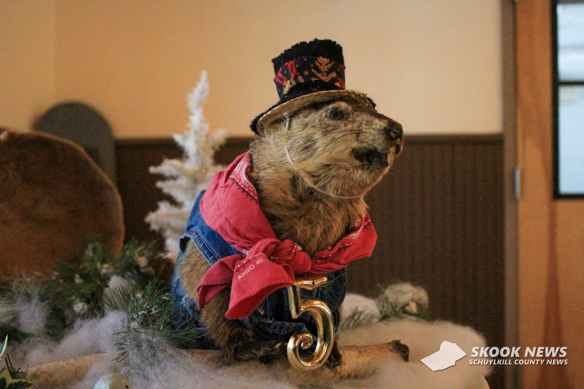JaySkook's tweet image. Schuylkill County Groundhog Day Celebration at Sweet Arrow Lake - February 2nd, 2025