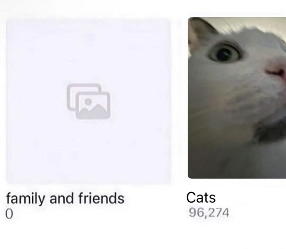 Catsillyness's tweet photo. My albums https://t.co/4iX7Wy5P8N