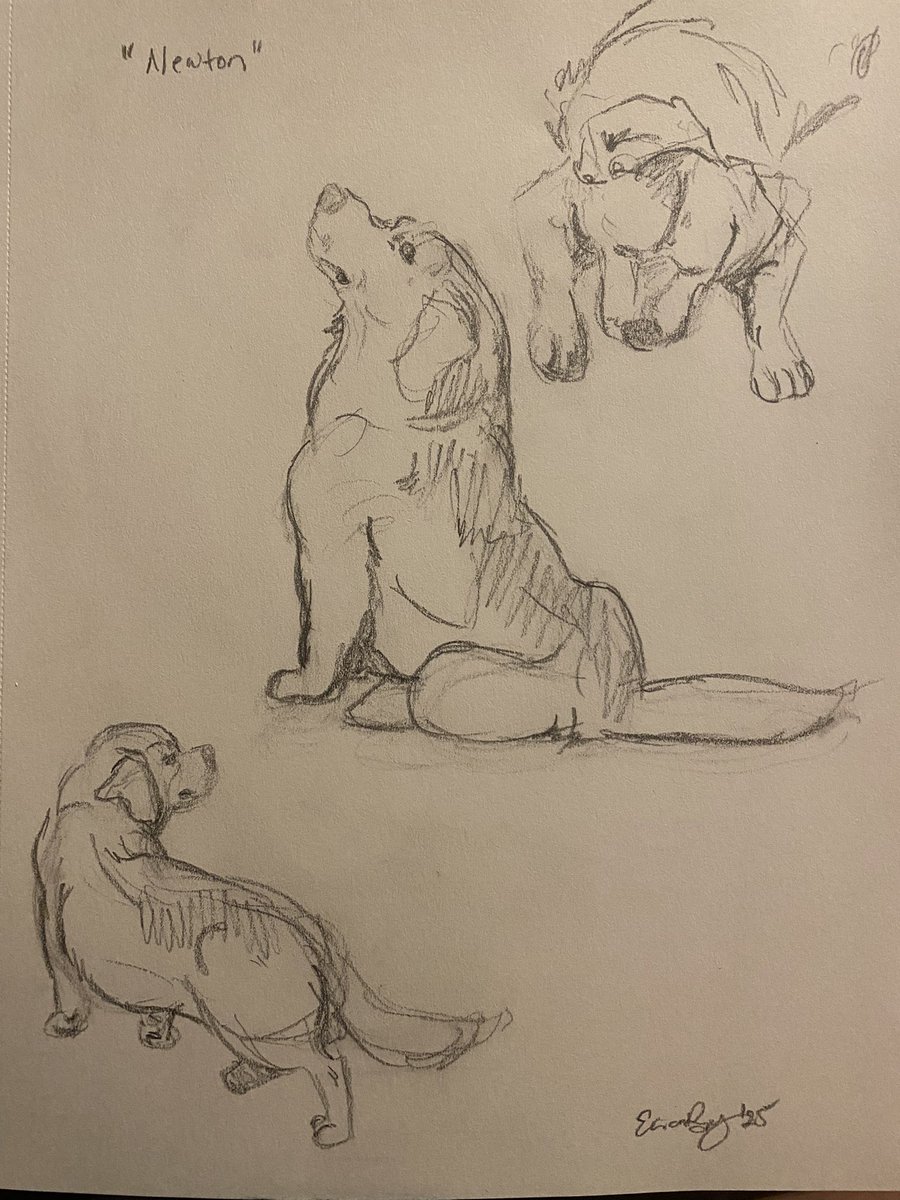 Erica Bey tweet media