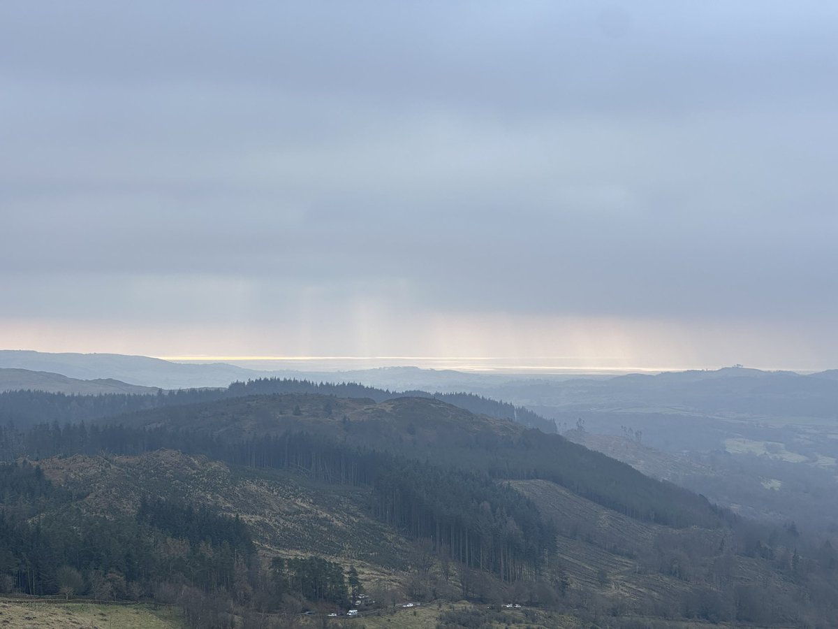 Hannah Stott tweet media