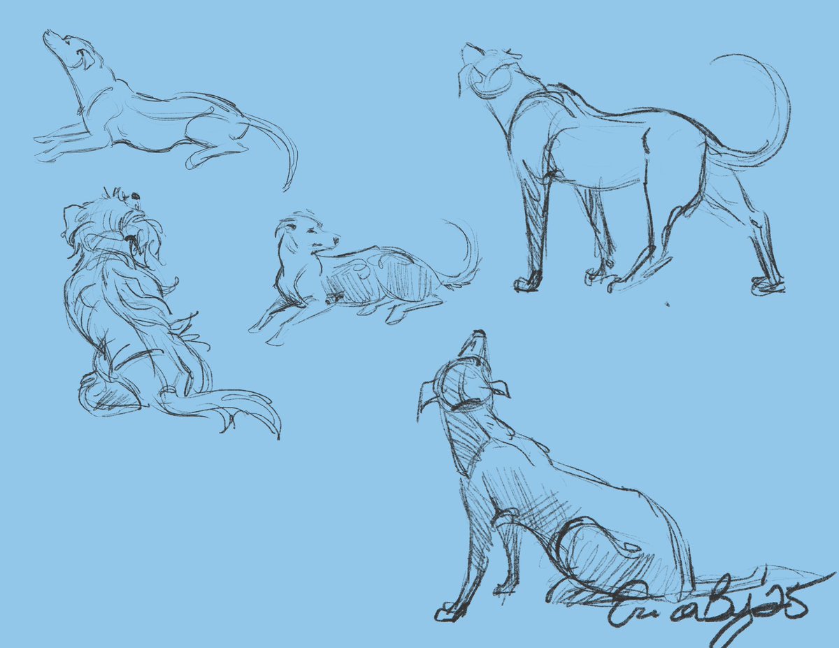 Erica Bey tweet media