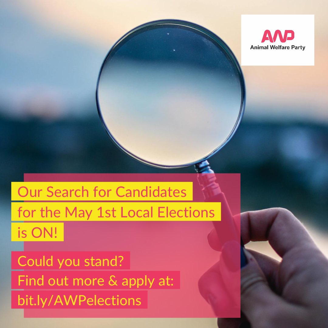 🔎AWP's candidate search for the May 1st Local Elections is ON! Could you stand and be a vital voice for animals and nature? No experience needed. 

👉🏽Find out more and apply by March 5th at: bit.ly/AWPelections 

📈 Shares greatly appreciated.💚