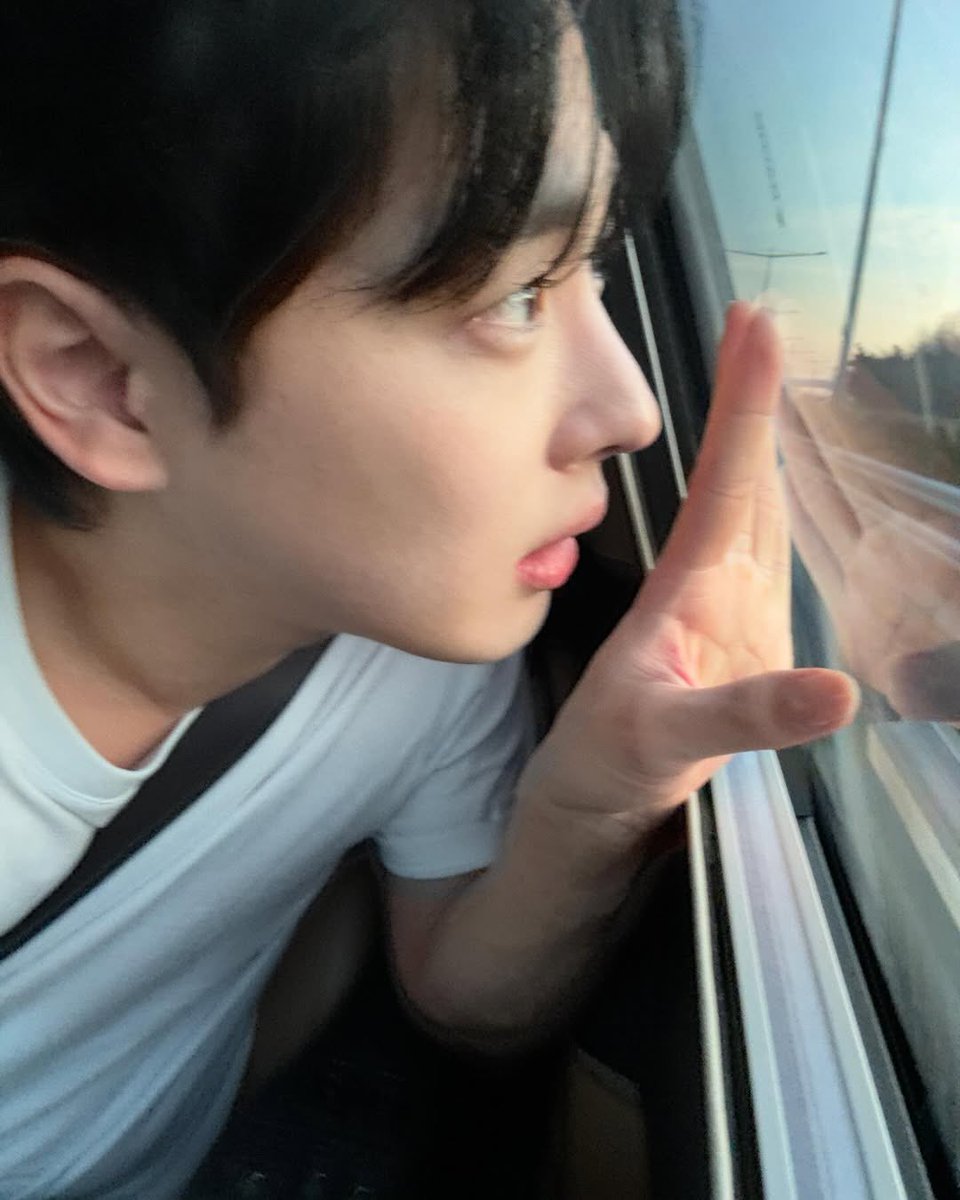 bottle_imp's tweet photo. 엘프가 여깃슴 반지의 제왕 다시 찍어 https://t.co/TmRj3JTRcx