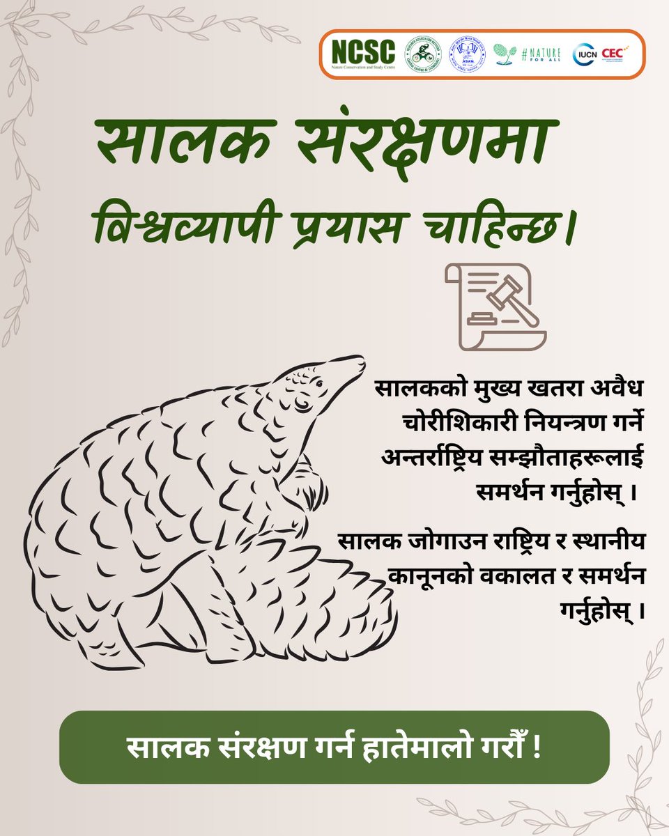 Nature Conservation and Study Centre (@ncscnepal) on Twitter photo рд╡рд┐рд╢реНрд╡ рд╕рд╛рд▓рдХ рджрд┐рд╡рд╕рдХрд╛ рд▓рд╛рдЧрд┐ рек рджрд┐рди рдмрд╛рдБрдХреА! ЁЯМН
4 Days to #WorldPangolinDay!
рд╕рд╛рд▓рдХрд╣рд░реВрд▓рд╛рдИ рд╕рдВрд░рдХреНрд╖рдг рдЧрд░реНрди рд╡рд┐рд╢реНрд╡рд╡реНрдпрд╛рдкреА рдХрд╛рд░реНрдпрдХреНрд░рдо рдЖрд╡рд╢реНрдпрдХ рдЫред рд╡рдиреНрдпрдЬрдиреНрддреБ рддрд╕реНрдХрд░реА рд╡рд┐рд░реБрджреНрдзрдХреЛ рдЕрдиреНрддрд░реНрд░рд╛рд╖реНрдЯреНрд░рд┐рдп рдкреНрд░рдпрд╛рд╕рд╣рд░реВрд▓рд╛рдИ рд╕рдорд░реНрдерди рдЧрд░реНрдиреБрд╣реЛрд╕реН ред
Protecting pangolins requires global action.
#StopWildlifeTrafficking рд╡рд┐рд╢реНрд╡ рд╕рд╛рд▓рдХ рджрд┐рд╡рд╕рдХрд╛ рд▓рд╛рдЧрд┐ рек рджрд┐рди рдмрд╛рдБрдХреА! ЁЯМН
4 Days to #WorldPangolinDay!
рд╕рд╛рд▓рдХрд╣рд░реВрд▓рд╛рдИ рд╕рдВрд░рдХреНрд╖рдг рдЧрд░реНрди рд╡рд┐рд╢реНрд╡рд╡реНрдпрд╛рдкреА рдХрд╛рд░реНрдпрдХреНрд░рдо рдЖрд╡рд╢реНрдпрдХ рдЫред рд╡рдиреНрдпрдЬрдиреНрддреБ рддрд╕реНрдХрд░реА рд╡рд┐рд░реБрджреНрдзрдХреЛ рдЕрдиреНрддрд░реНрд░рд╛рд╖реНрдЯреНрд░рд┐рдп рдкреНрд░рдпрд╛рд╕рд╣рд░реВрд▓рд╛рдИ рд╕рдорд░реНрдерди рдЧрд░реНрдиреБрд╣реЛрд╕реН ред
Protecting pangolins requires global action.
#StopWildlifeTrafficking
