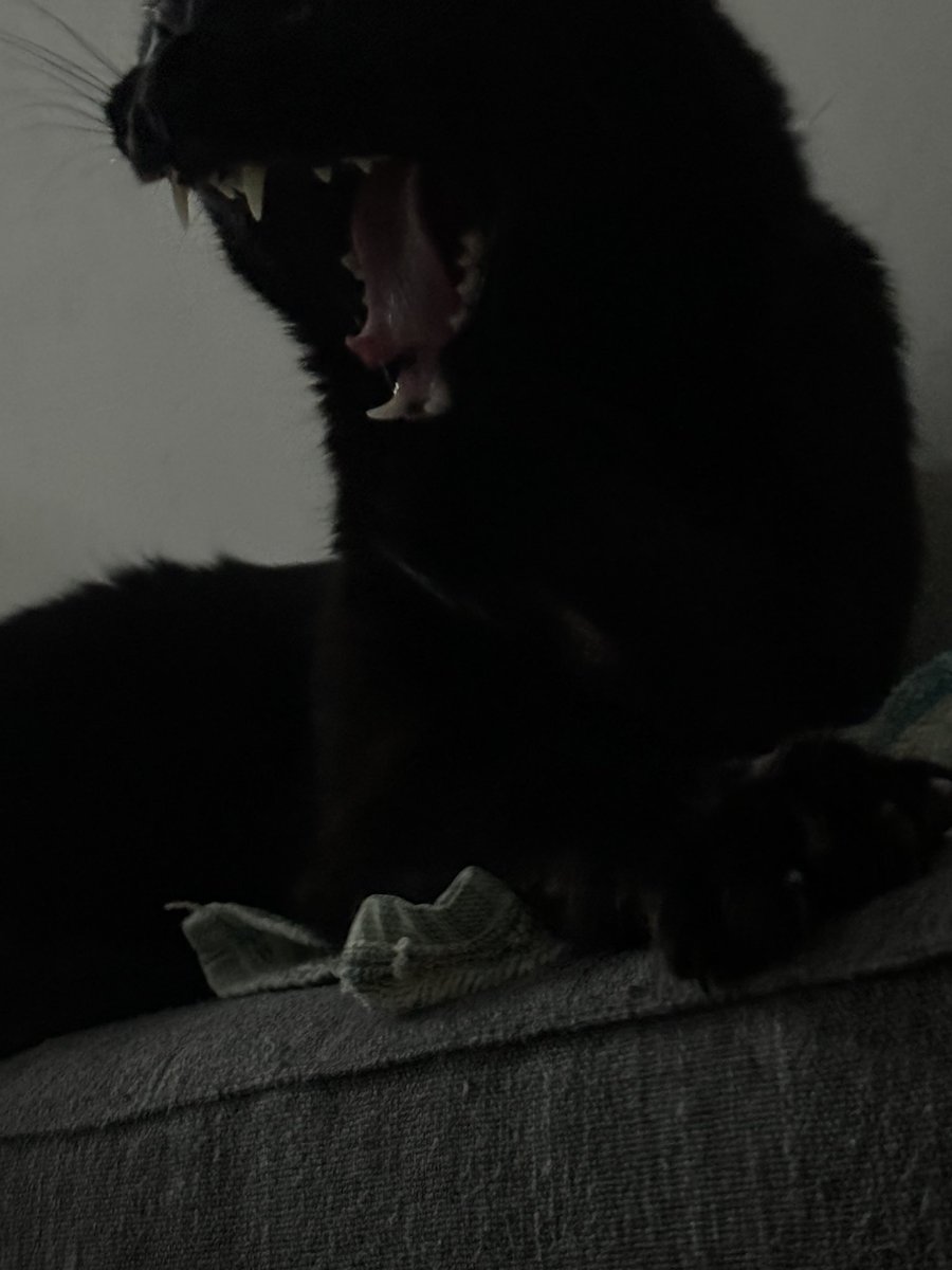 devilscoat's tweet image. Нечего добавить, просто фотографии.