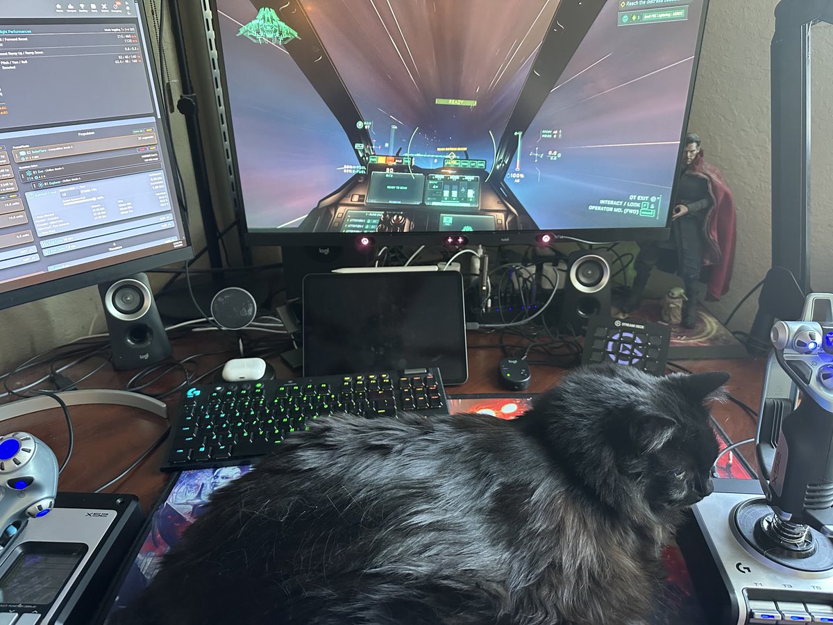 HeyItsBWags's tweet image. How Star Citizen is meant to be played. 

#CatCopilot