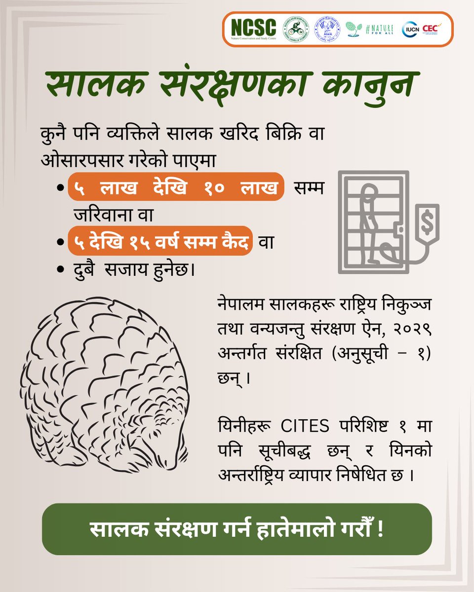 Nature Conservation and Study Centre (@ncscnepal) on Twitter photo рд╡рд┐рд╢реНрд╡ рд╕рд╛рд▓рдХ рджрд┐рд╡рд╕рдХрд╛ рд▓рд╛рдЧрд┐ рей рджрд┐рди рдмрд╛рдБрдХреА! ЁЯМН
3 Days to #WorldPangolinDay!
рдиреЗрдкрд╛рд▓рдорд╛ рд╕рд╛рд▓рдХрд╣рд░реВрд▓рд╛рдИ рдЕрд╡реИрдз рд╡рдиреНрдпрдЬрдиреНрддреБ рд╡реНрдпрд╛рдкрд╛рд░ рд░ рддрд╕реНрдХрд░реАрдмрд╛рдЯ рдмрдЪрд╛рдЙрди рдХрдбрд╛ рдХрд╛рдиреВрдирд╣рд░реВ рдЫрдиреНред
Nepal has strict laws to protect pangolins from illegal wildlife trade and trafficking.
<a href="/IUCN_CEC/">IUCN CEC</a>
<a href="/natureforall/">#NatureForAll</a>
#Nepal рд╡рд┐рд╢реНрд╡ рд╕рд╛рд▓рдХ рджрд┐рд╡рд╕рдХрд╛ рд▓рд╛рдЧрд┐ рей рджрд┐рди рдмрд╛рдБрдХреА! ЁЯМН
3 Days to #WorldPangolinDay!
рдиреЗрдкрд╛рд▓рдорд╛ рд╕рд╛рд▓рдХрд╣рд░реВрд▓рд╛рдИ рдЕрд╡реИрдз рд╡рдиреНрдпрдЬрдиреНрддреБ рд╡реНрдпрд╛рдкрд╛рд░ рд░ рддрд╕реНрдХрд░реАрдмрд╛рдЯ рдмрдЪрд╛рдЙрди рдХрдбрд╛ рдХрд╛рдиреВрдирд╣рд░реВ рдЫрдиреНред
Nepal has strict laws to protect pangolins from illegal wildlife trade and trafficking.
<a href="/IUCN_CEC/">IUCN CEC</a>
<a href="/natureforall/">#NatureForAll</a>
#Nepal