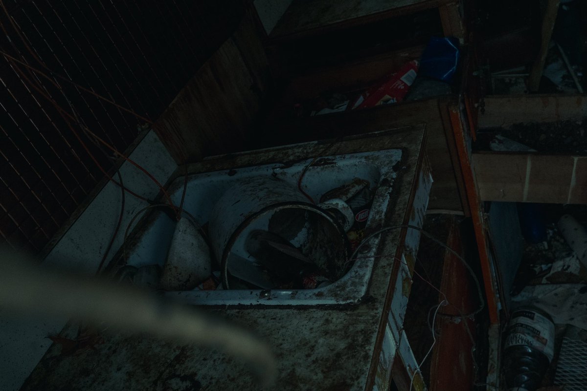 found this in my backyard