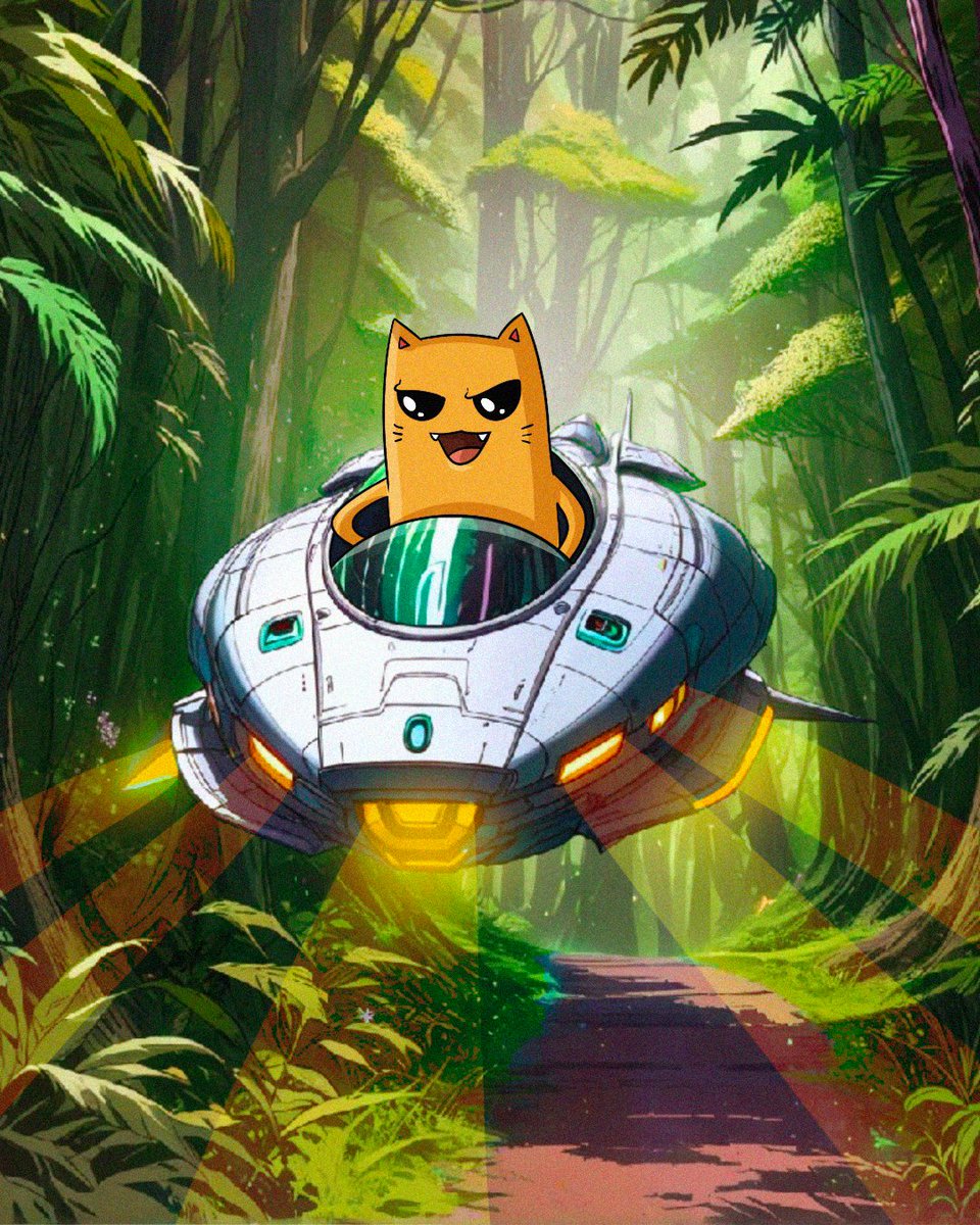 yellowcatdao (@yellowcatdao) on Twitter photo 