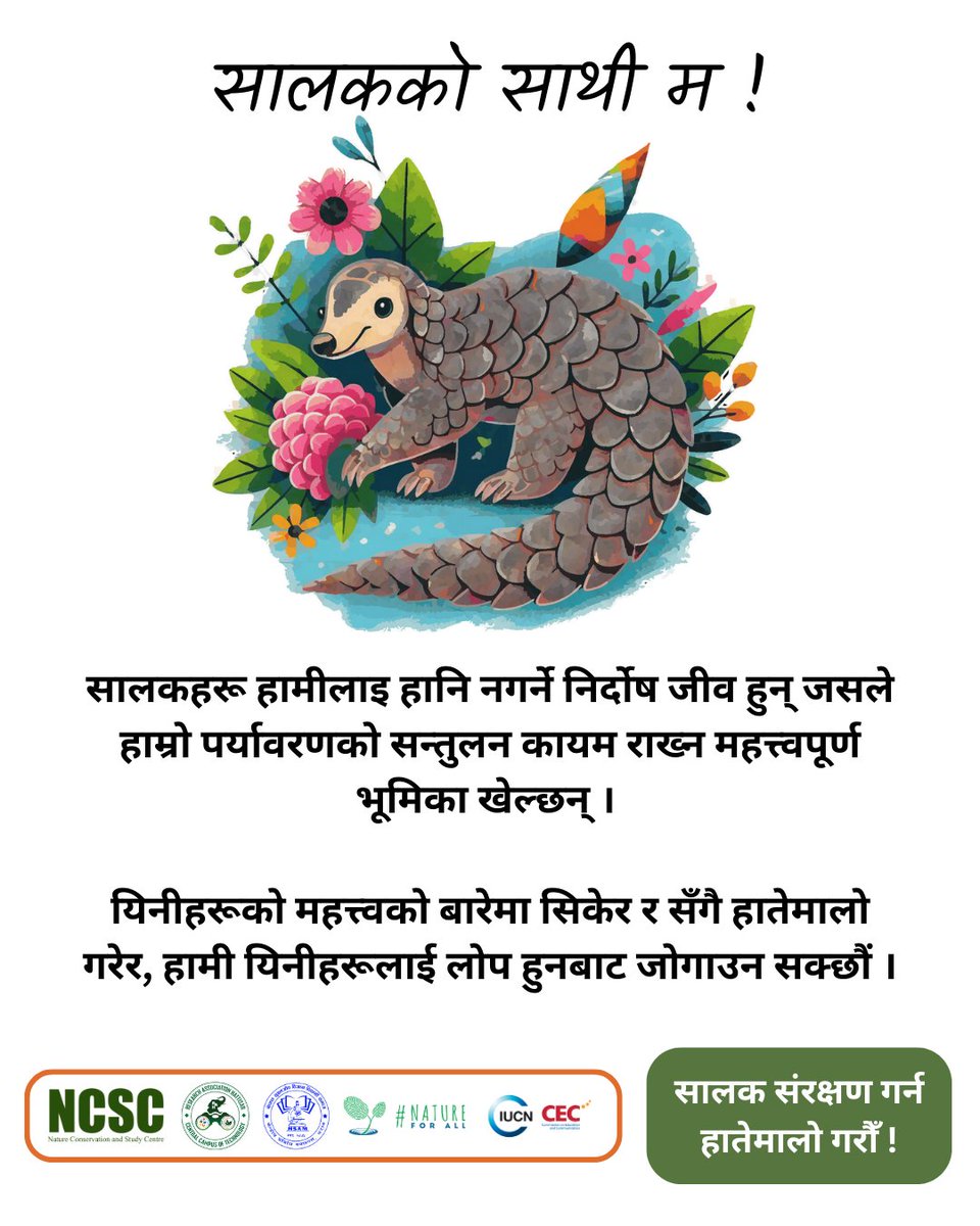 Nature Conservation and Study Centre (@ncscnepal) on Twitter photo рд╡рд┐рд╢реНрд╡ рд╕рд╛рд▓рдХ рджрд┐рд╡рд╕рдХрд╛ рд▓рд╛рдЧрд┐ рез рджрд┐рди рдмрд╛рдБрдХреА! ЁЯМН
1 Days to #WorldPangolinDay!
рд╕рд╛рд▓рдХрд╣рд░реВ рдирд┐рд░реНрджреЛрд╖ рдЬреАрд╡ рд╣реБрдиреН рдЬрд╕рд▓реЗ рдкрд░реНрдпрд╛рд╡рд░рдг рд╕рдиреНрддреБрд▓рди рдХрд╛рдпрдо рд░рд╛рдЦреНрди рдорджреНрджрдд рдЧрд░реНрдЫрдиреНред
Pangolins are innocent creatures that play a vital role in maintaining environmental balance.
#SavePangolins #TogetherForNature рд╡рд┐рд╢реНрд╡ рд╕рд╛рд▓рдХ рджрд┐рд╡рд╕рдХрд╛ рд▓рд╛рдЧрд┐ рез рджрд┐рди рдмрд╛рдБрдХреА! ЁЯМН
1 Days to #WorldPangolinDay!
рд╕рд╛рд▓рдХрд╣рд░реВ рдирд┐рд░реНрджреЛрд╖ рдЬреАрд╡ рд╣реБрдиреН рдЬрд╕рд▓реЗ рдкрд░реНрдпрд╛рд╡рд░рдг рд╕рдиреНрддреБрд▓рди рдХрд╛рдпрдо рд░рд╛рдЦреНрди рдорджреНрджрдд рдЧрд░реНрдЫрдиреНред
Pangolins are innocent creatures that play a vital role in maintaining environmental balance.
#SavePangolins #TogetherForNature