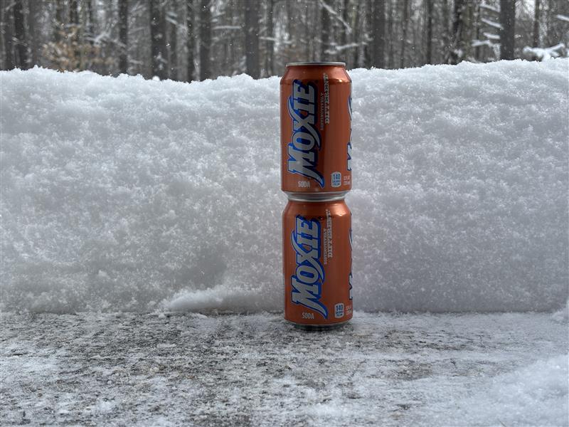 Two Moxies deep in New Gloucester! How much snow did you get in your neck of the woods?