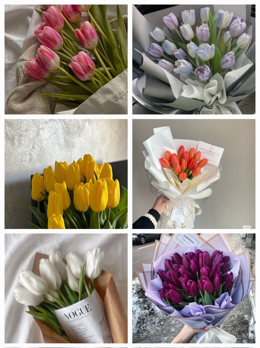 Tulips