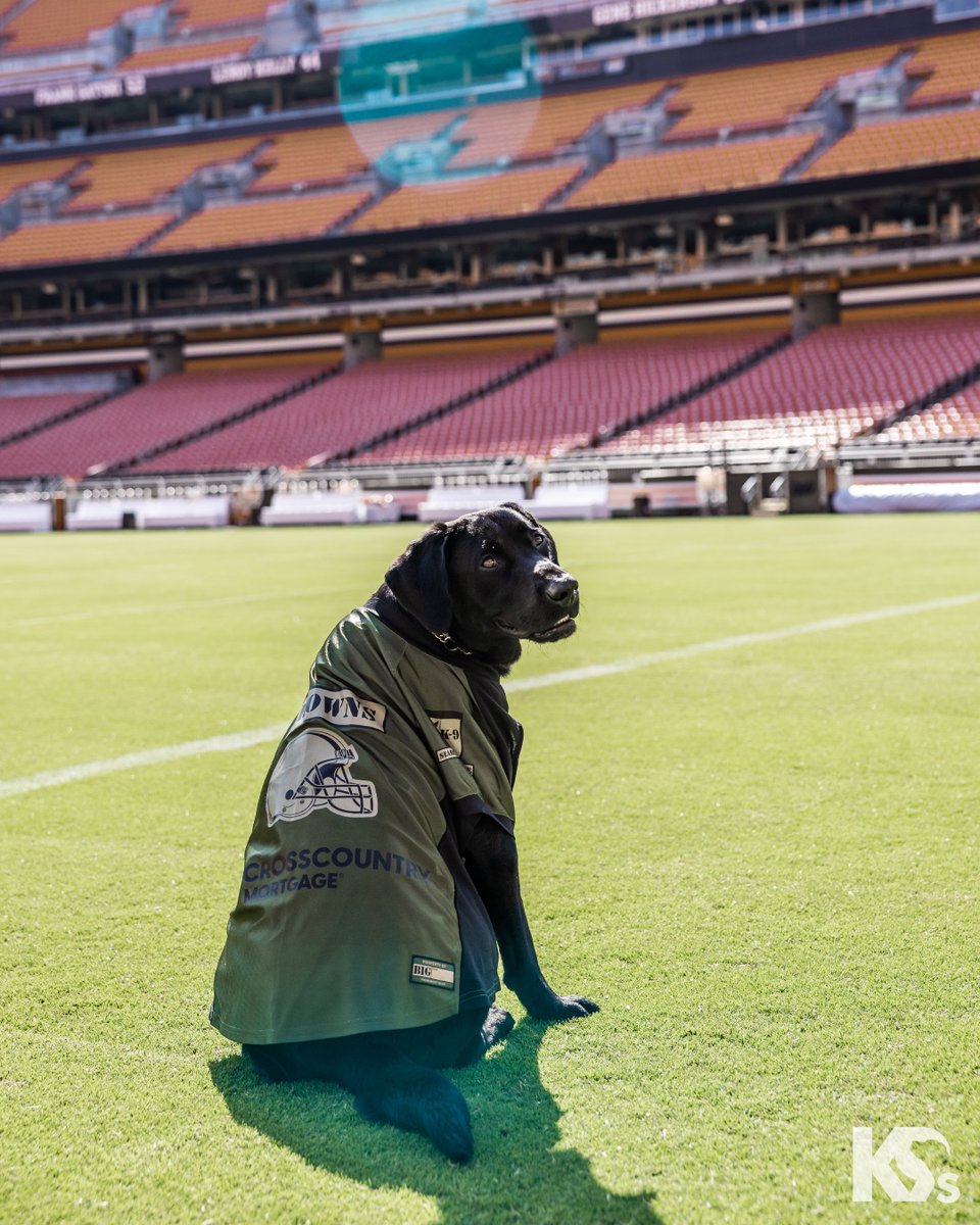 Happy #SuperBowl Sunday from our true MVPs — Mathis, Crush, Goldie, Mando &amp; Valor!

We wish both teams the best of luck. 🏈 🐾