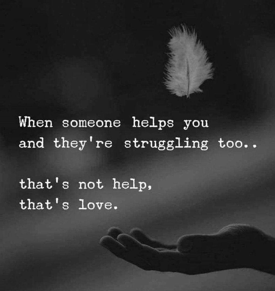 Dánae Solo tweet media