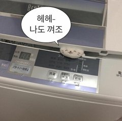 melon082015's tweet photo. #레트로봇_트친소
#또봇_트친소 

안녕하세여 레봇시네마 기념으로 트친소 돌립니다
메인 CP 맞는 분들 위주로 찾아뵐게여~~ https://t.co/eCJipOLWbL