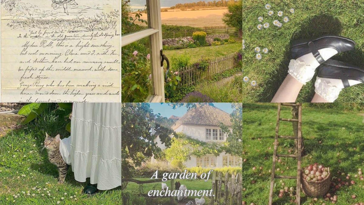 Micchi, tarot reader. tweet media