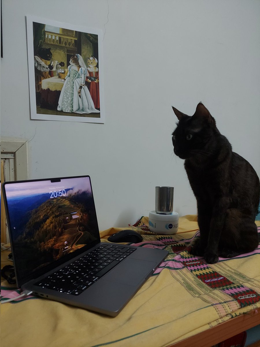 Adiitiee's tweet photo. @asharma991 @conserveindica Mia has work to do but says Hello https://t.co/Kb4vGI0SjJ