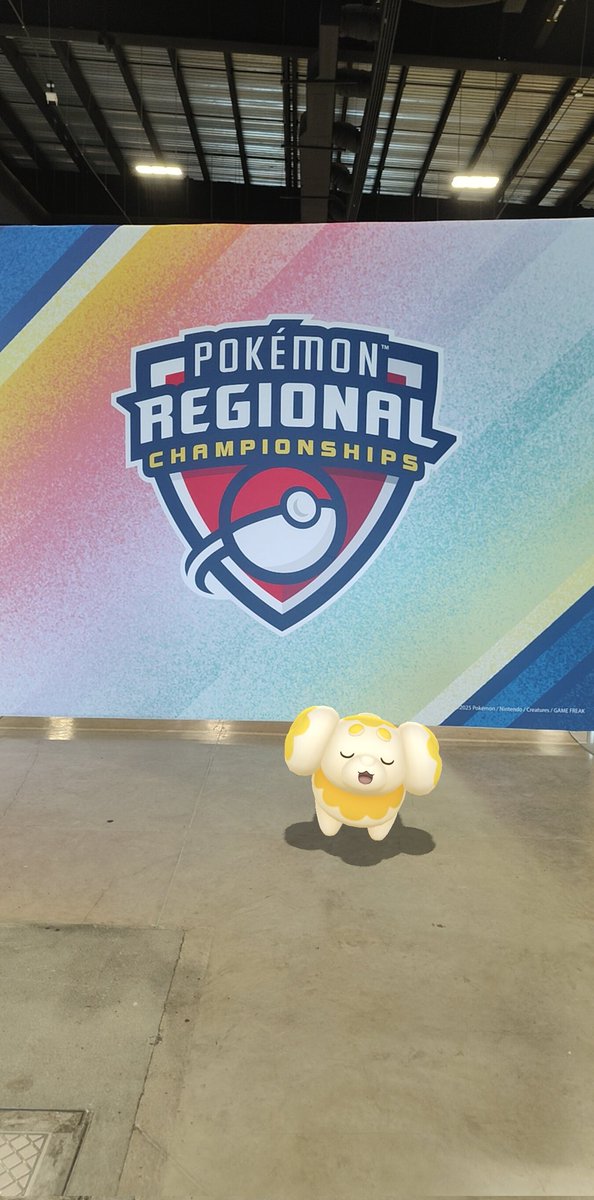 Arenda_CL's tweet photo. Fidough en el regional de mérida ✨#meridaregional 
@karma_beam  @Pokemonlatam https://t.co/JPkofTNhFC