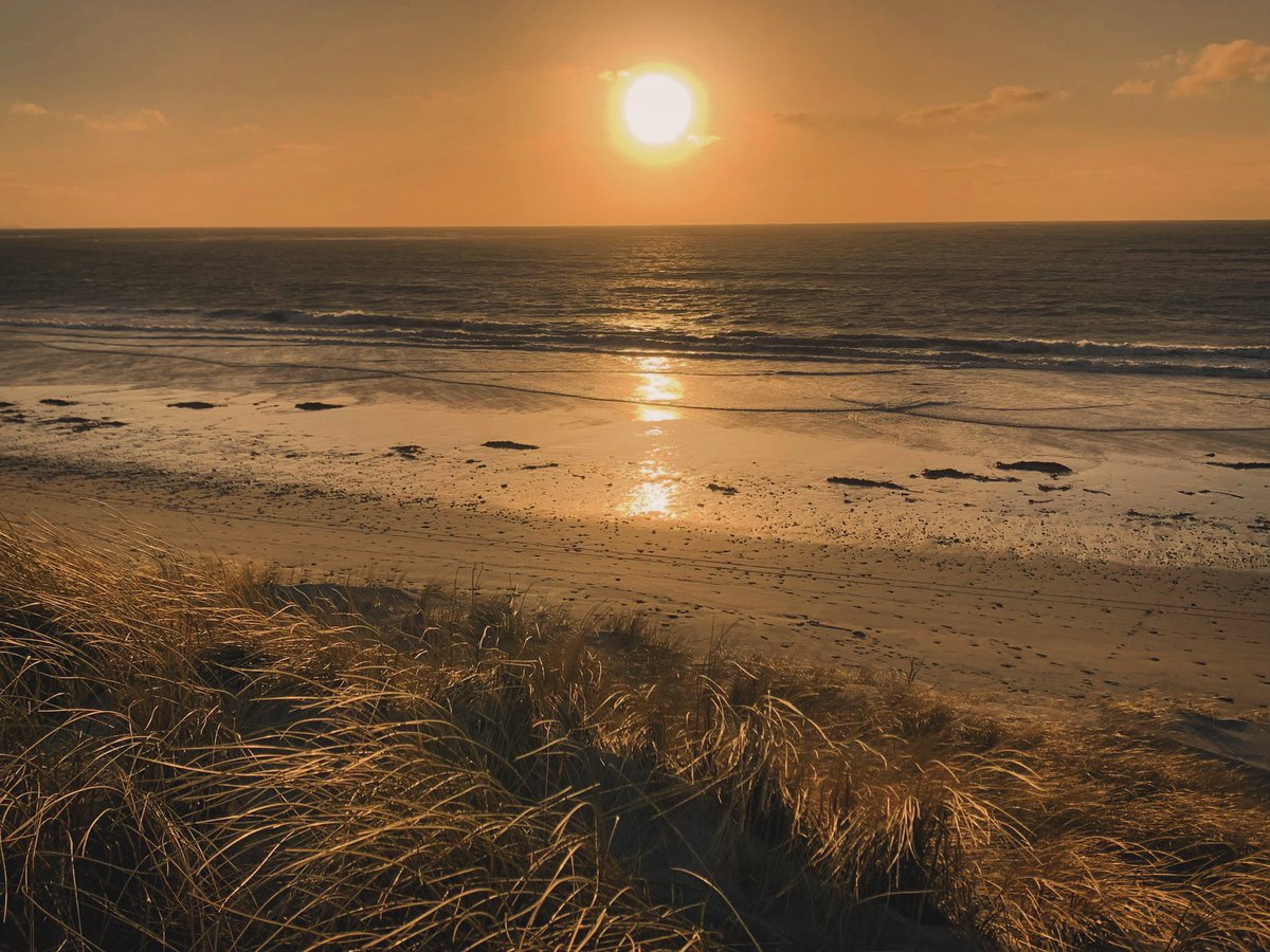 DaliMach tweet media