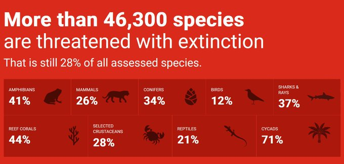 UN Biodiversity tweet media