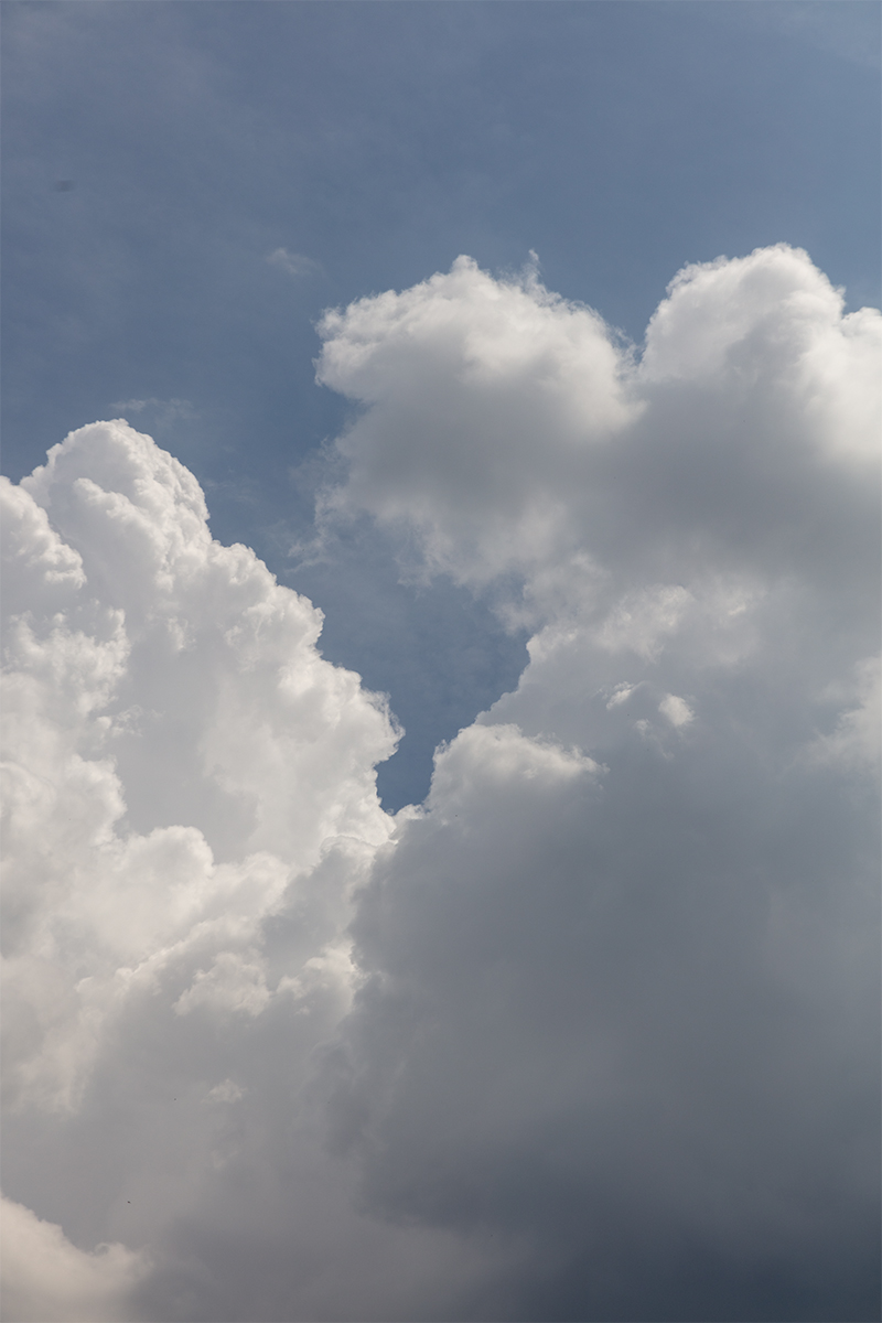 jaimeversailles's tweet photo. J'aime les nuages versaillais.
27 Juin 2024, 13h32.
.
#versailles #jaimeversailles #versaillesforever #versaillesmaville #versaillesgardens #versaillestourisme #chateauversailles #patrimoine #patrimoinefrancais #patrimoineculturel #canon #canonfrance #architecture #france
.
Crédits photo : J'aime Versailles / Baptiste Gourgouillon