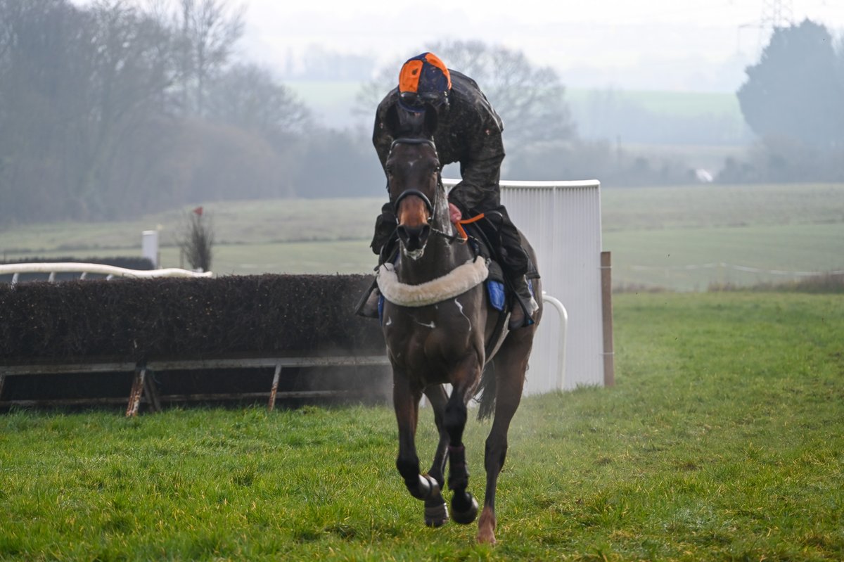 A great morning at Chipley Park today with <a href="/flymcintyre/">Martin Mc Intyre</a> schooling Ultimate Survivor for <a href="/BCoward93/">B Coward</a>. Four 10% shares still available in this lovely youngster.
@GoPointing  <a href="/PointingDC/">Devon & Cornwall Point-To-Point Area</a> <a href="/THEPPORA/">PPORA</a>