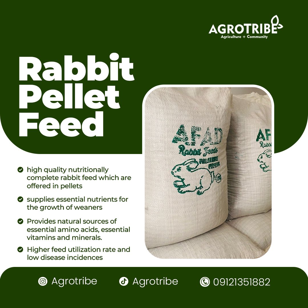 agro_tribe's tweet photo. Looking for where to source for rabbits Feeds?
Are you just starting a rabbit farm?
Do you own a rabbit pet?
_______
Send me a message today 
#agrotribe #agriculture #agribusiness #rabbit #rabbits #rabbitbreeder #rabbitbusiness https://t.co/9JyuAaneE5