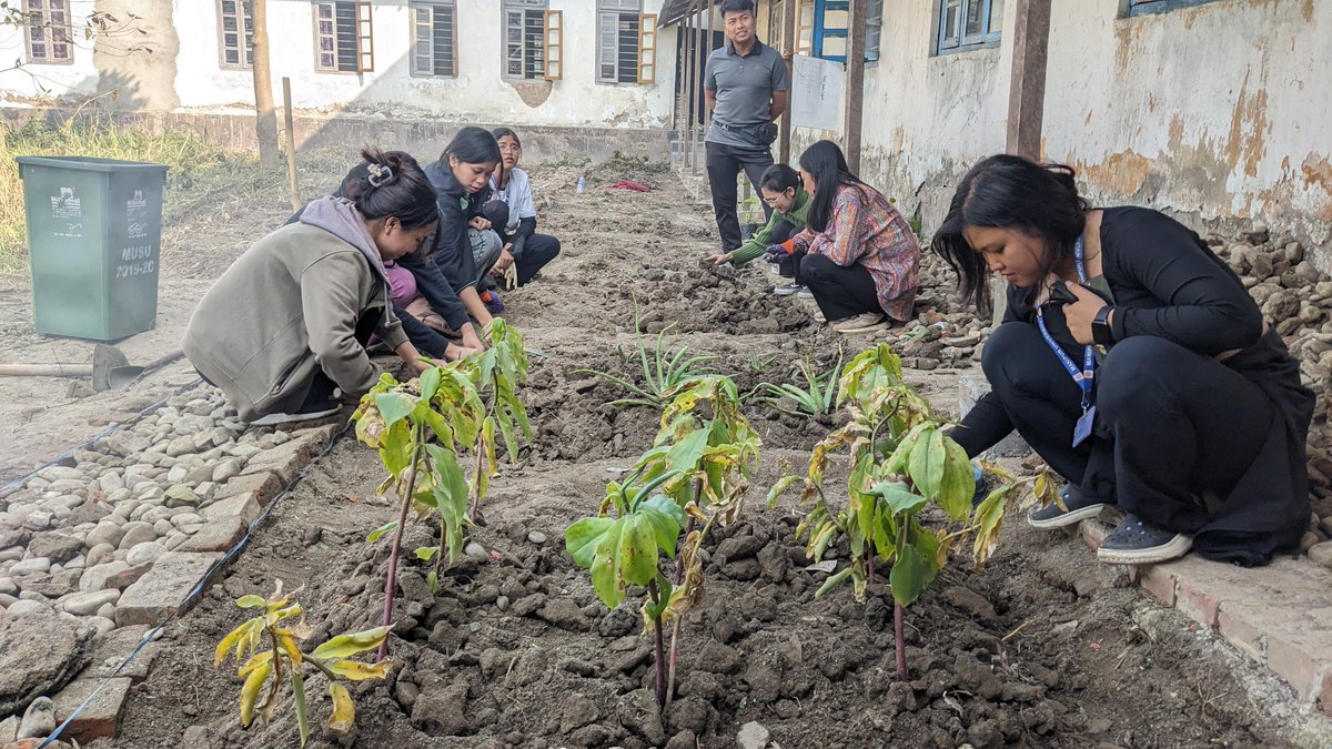 MU_Forestry's tweet image. On 7th February 2025, the students of the Department cleaned a wasteful place into a Herbal Garden.
#SocialService
#CleanIndiaMission
#swachhbharat 
@ManipurUniverse
