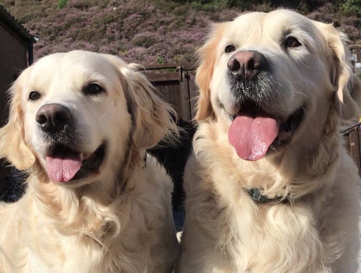 I’m sorry it’s been a long time but we just popped by to say hello 👋