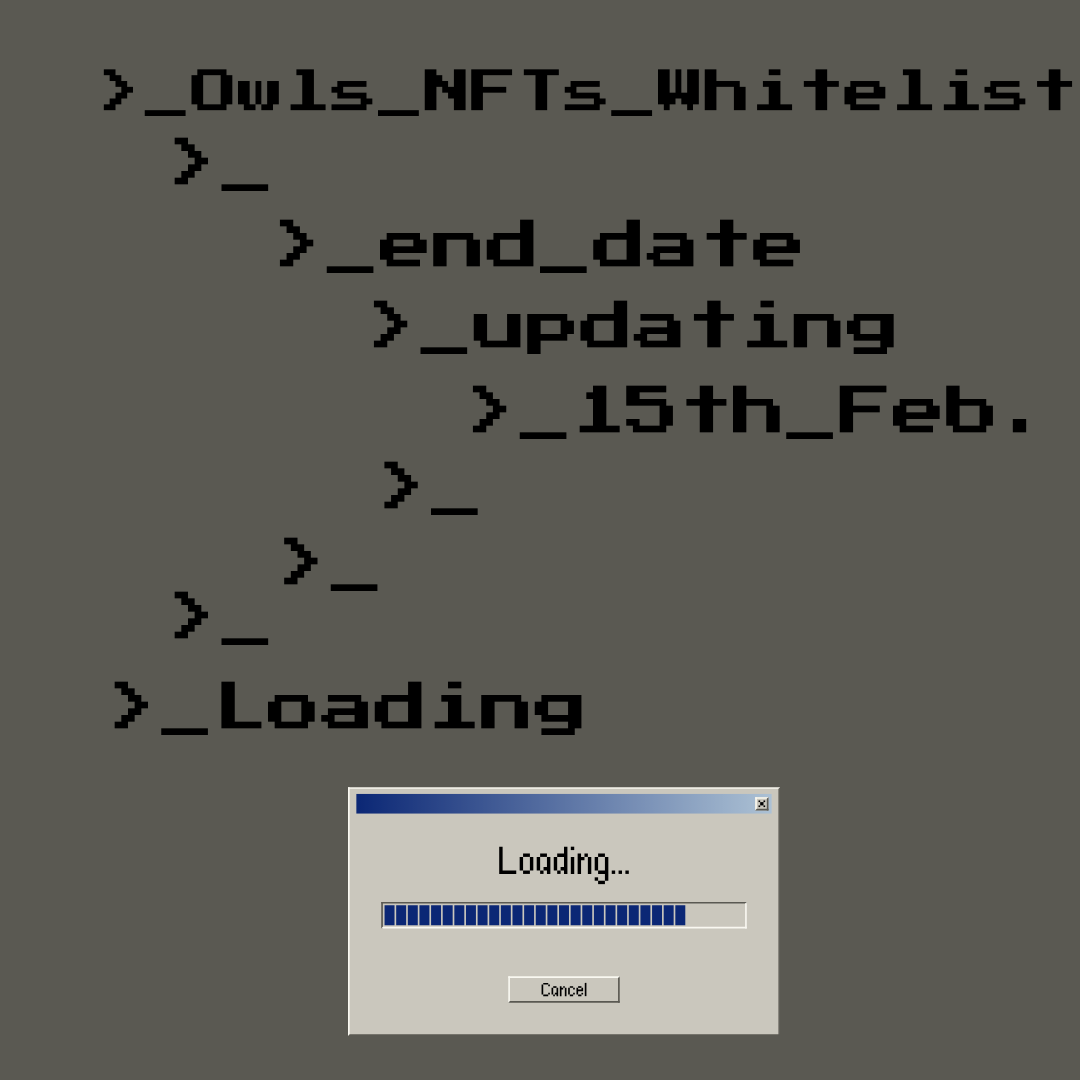 Owls 🦉 tweet media