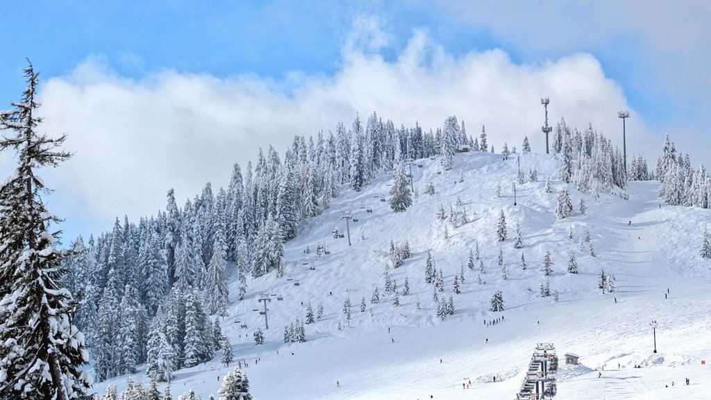 SummitSnow411's tweet image. February has been an absolute treat!
Just another beautiful day in the Cascades 😍