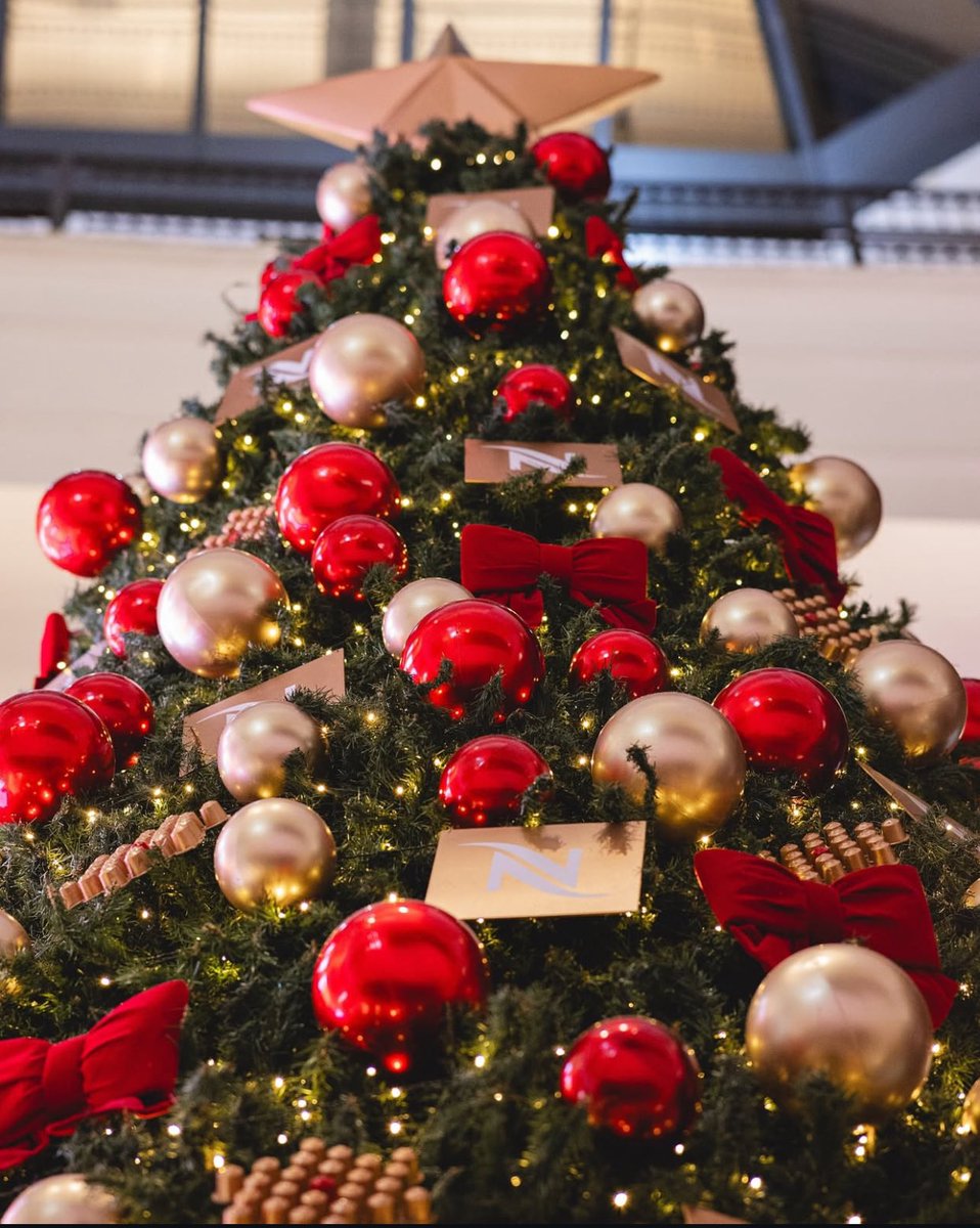 x.com/cafe_dakar/sta…

DCX | NESPRESSO
Tel : 77 247 14 14 

#LeMystèredévoilé #DakarCafeExpress
#Nespresso #NespresoMoments
#EnRouteVersLaSaintValentin #Rt