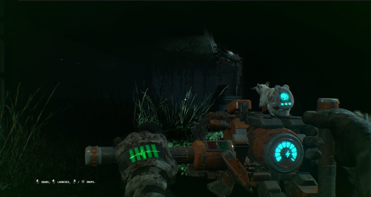 Chris Bischoff - Animal Use Protocol tweet media