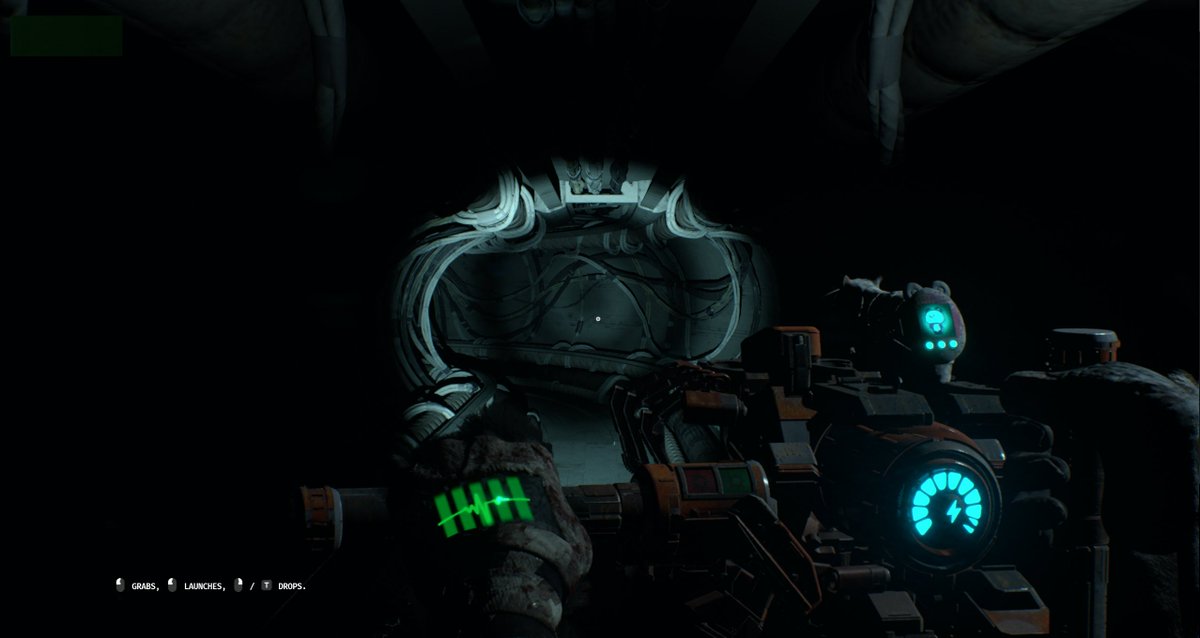 Chris Bischoff - Animal Use Protocol tweet media