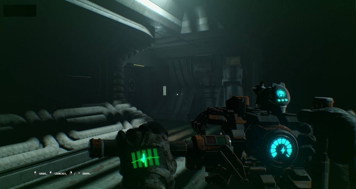 Chris Bischoff - Animal Use Protocol tweet media